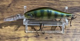 Rapala Shadow Rap Jack Deep - 7cm 10g #19