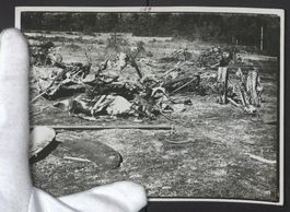 Fotografie Flugzeug Wrack nach Abschuss 