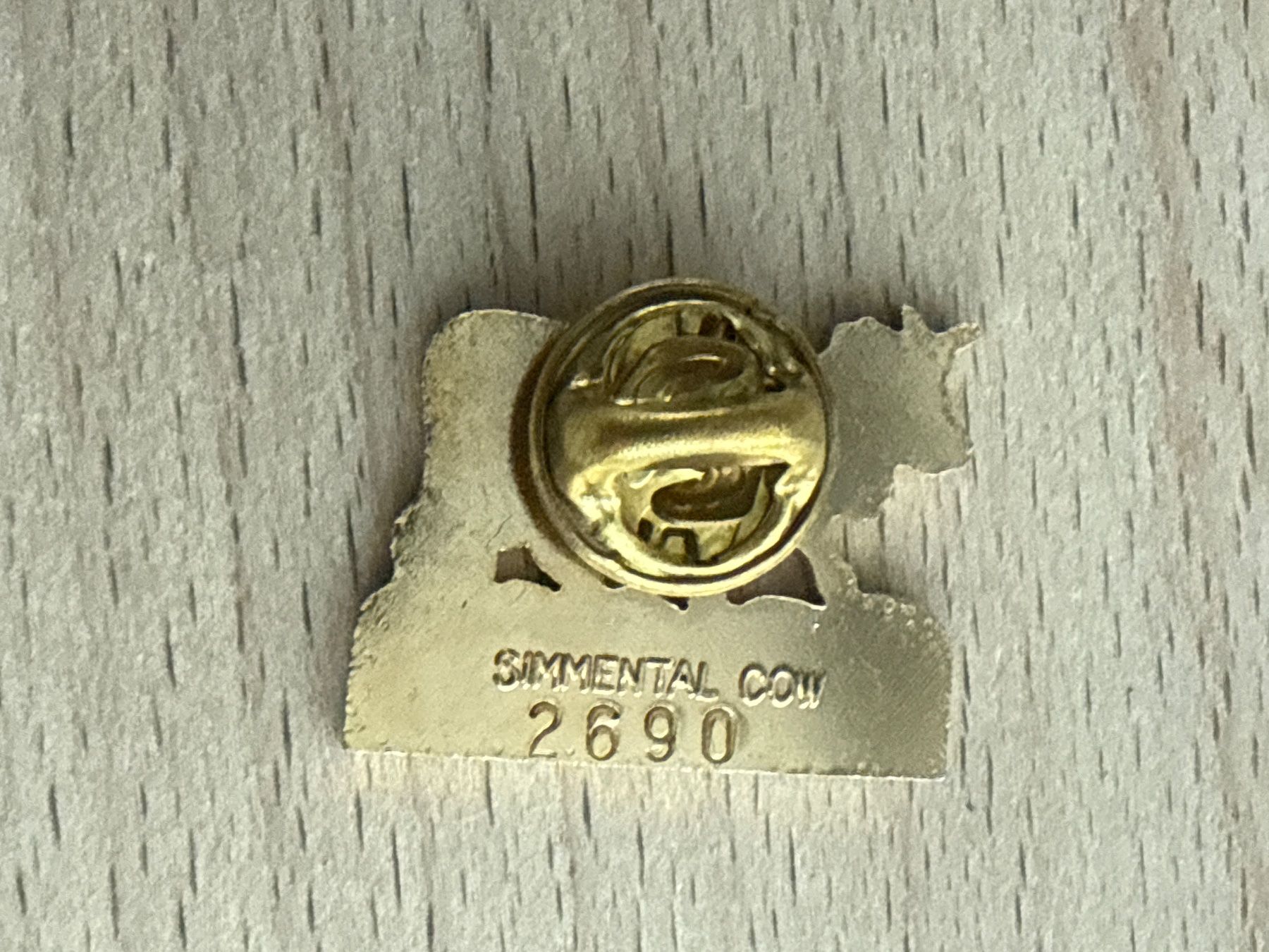 Plaquettes & Badges: Pin  Michel Jordi – D'occasion à Glattbrugg par Schweigmatt 1