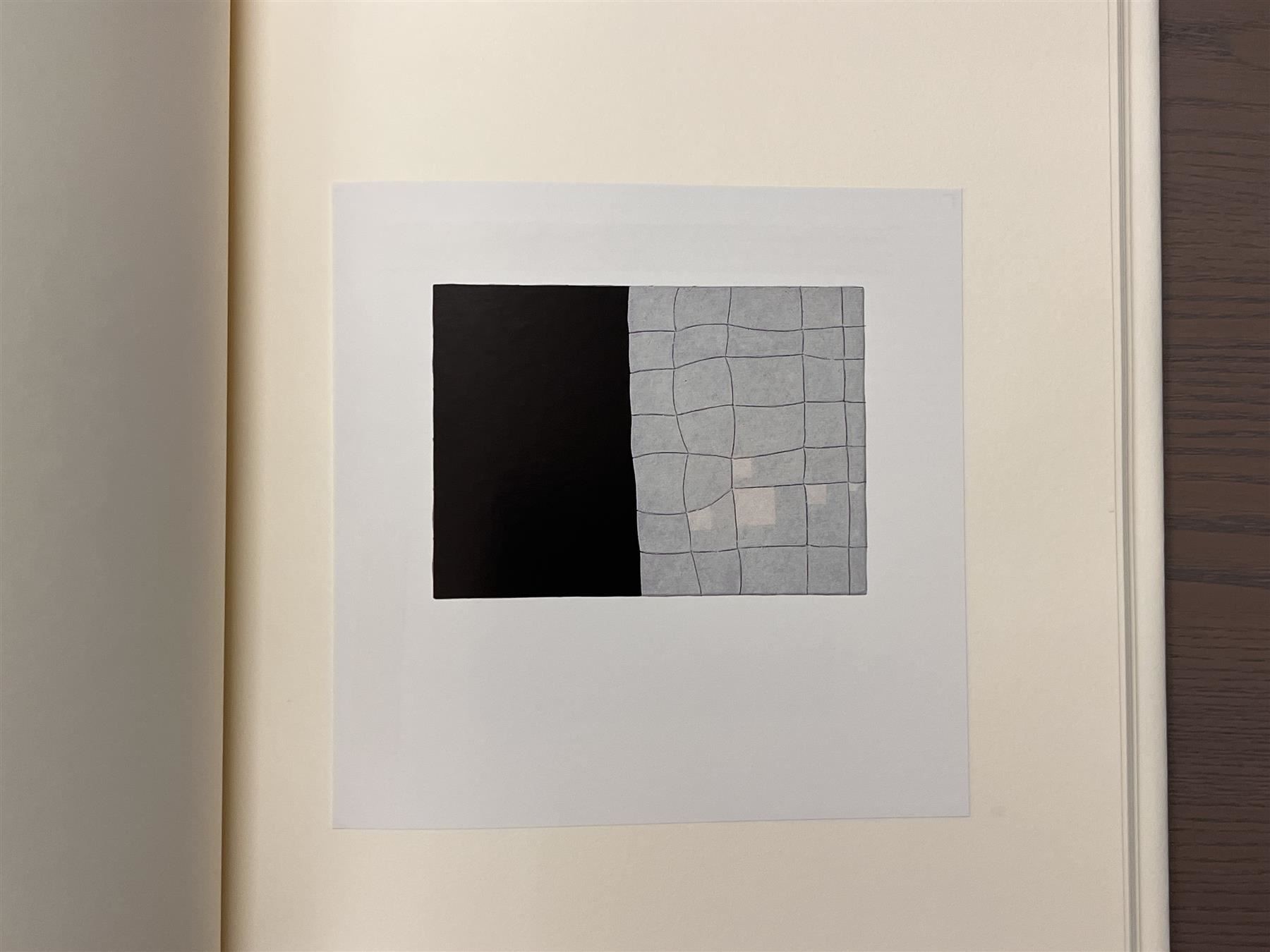 Libri: Gottfried Honegger Werke vor 1960 handsigniert – Usato da Adliswil venduto da buch_und_kunst 4