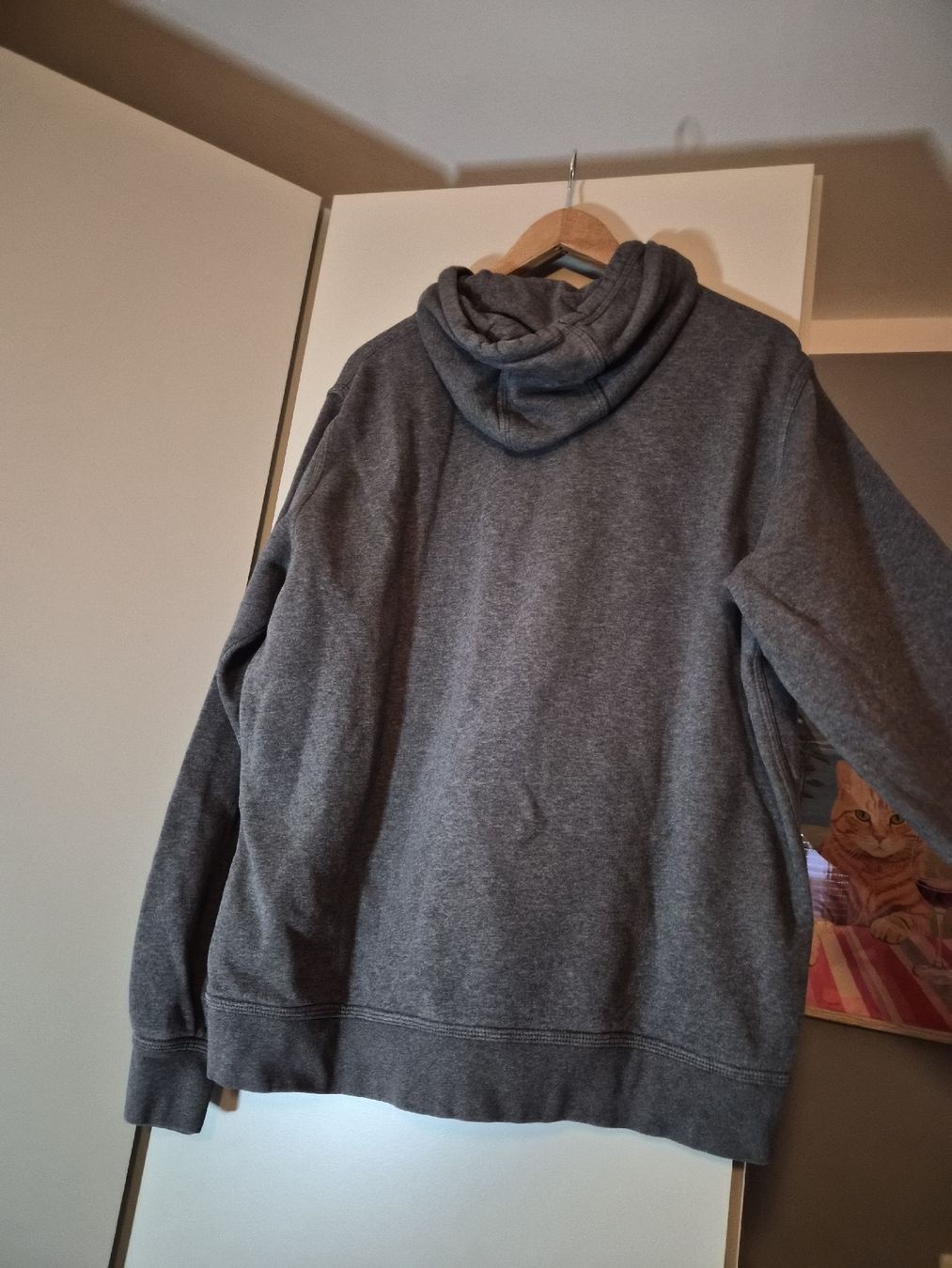 Nike Maglioni & Felpe: Nike Kapuzenpullover grau – Usato da Möhlin venduto da anj_xrw5 1