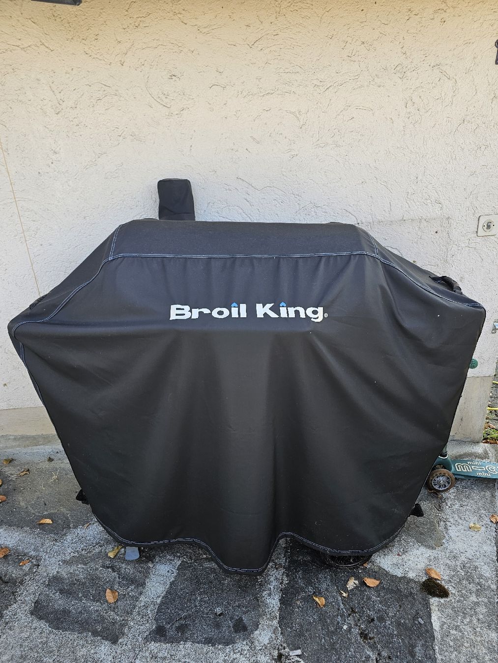 Griglie: Broil King Regal Pellet 500 – Usato da Schöftland venduto da Viper90 1