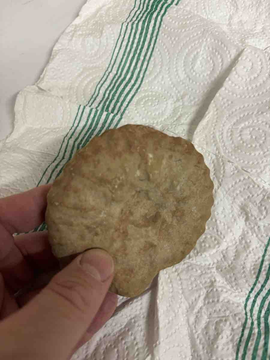 Fossilien: Fossile ammonite autentico 10 cm – Gebraucht aus Wallisellen von nick_1976blu 1