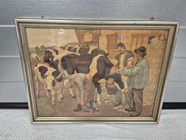 Historisches Bild "Vor der Alpfahrt"