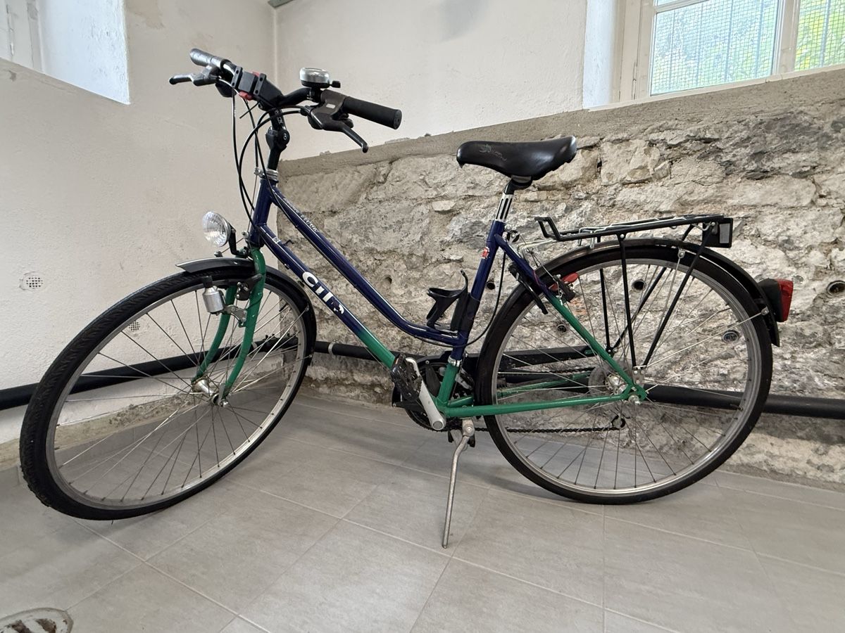 Cilo Biciclette: Damen Velo – Usato da Winterthur venduto da Montreal63