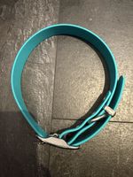 Hundehalsband Türkis