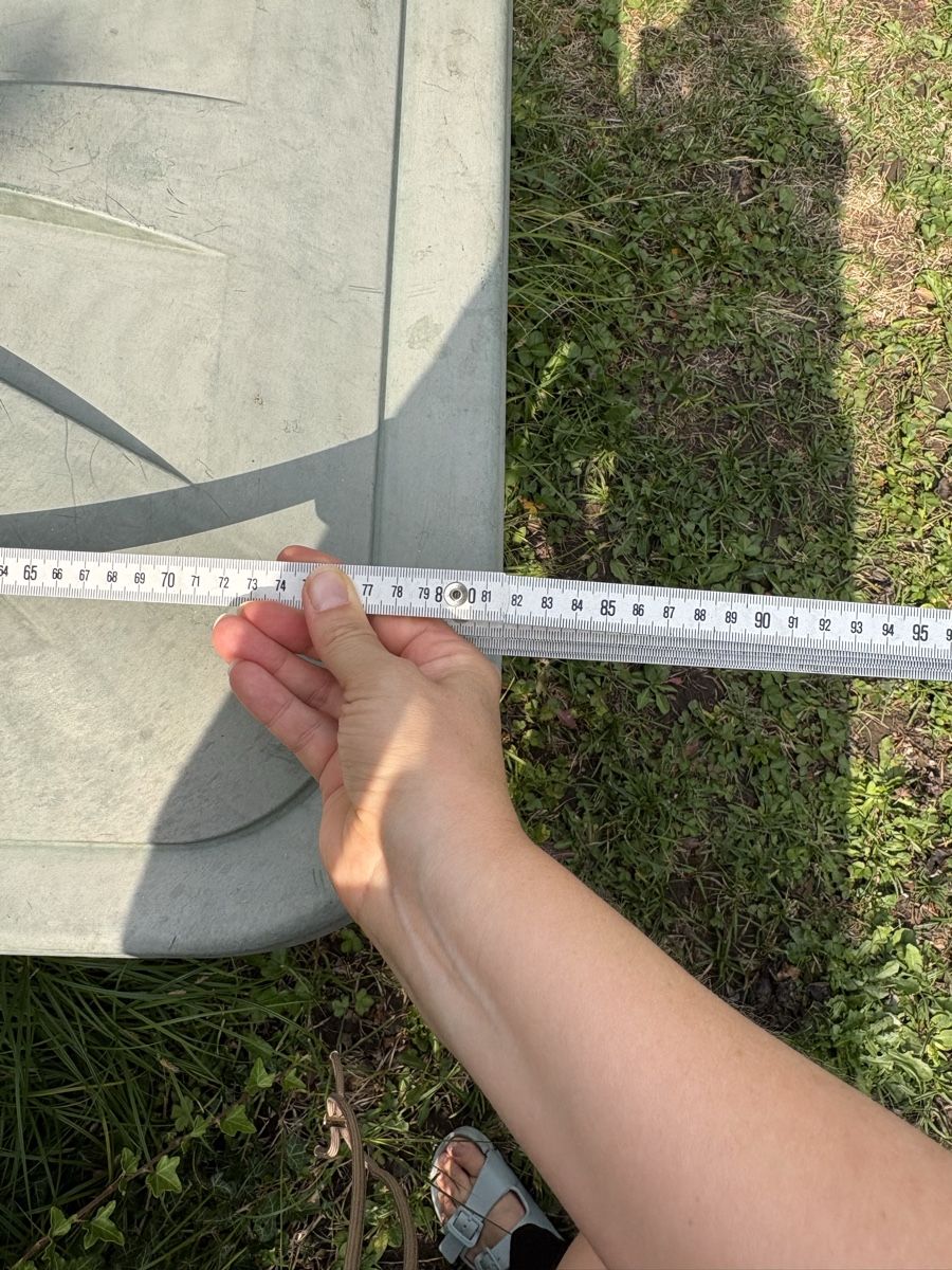 Contenitori & Simili: Wasserbehälter 300L gebraucht – Usato da Kriens venduto da aloha19 1