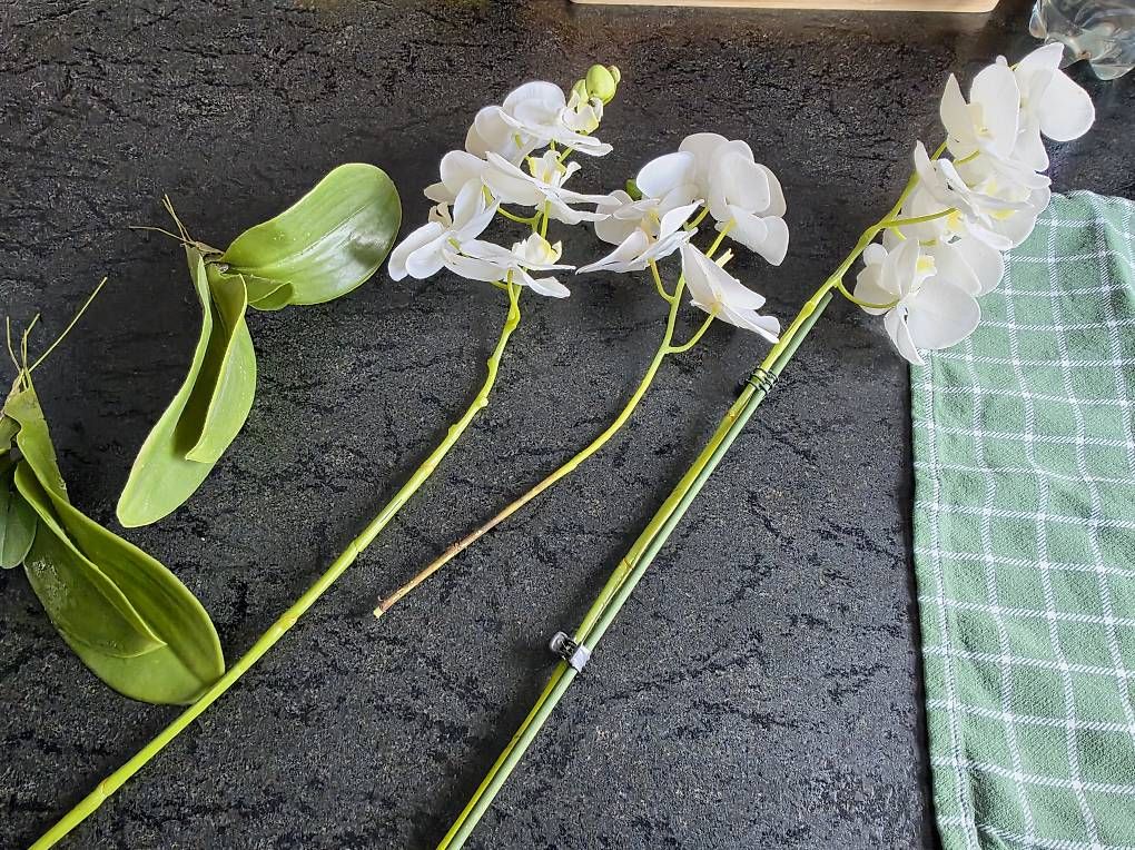Tutte le decorazioni: Kunst Orchidee – Usato da Haslen AI venduto da jas_5dv9 2