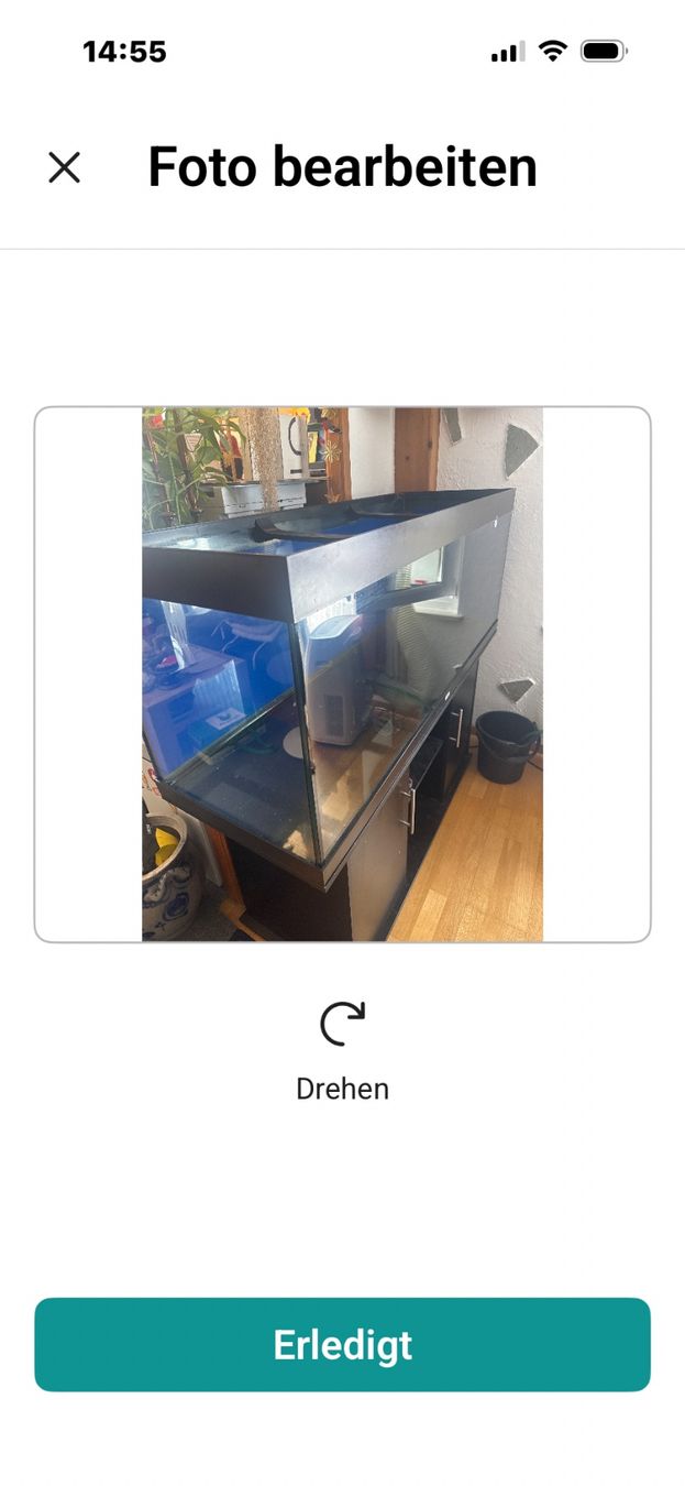 Juwel Terrario: Terrarium 400 Liter mit Möbel – Usato da Zürich venduto da mixer02