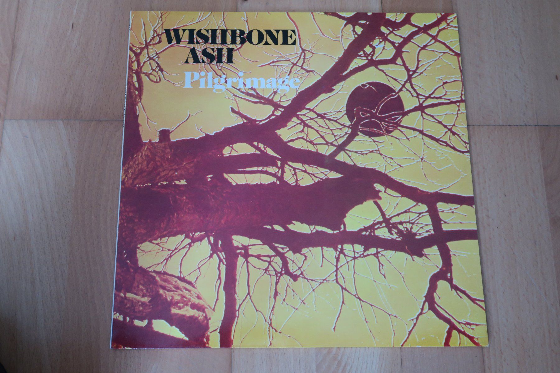 Dischi in vinile: Wishbone Ash – Pilgrimage – Usato da Thun venduto da Karibu70