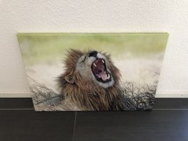 Löwenbild Leinwandbild Raubkatze Afrika Deko NEU 60x40cm