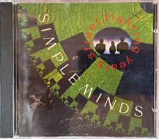 Simple Minds - street fighting years