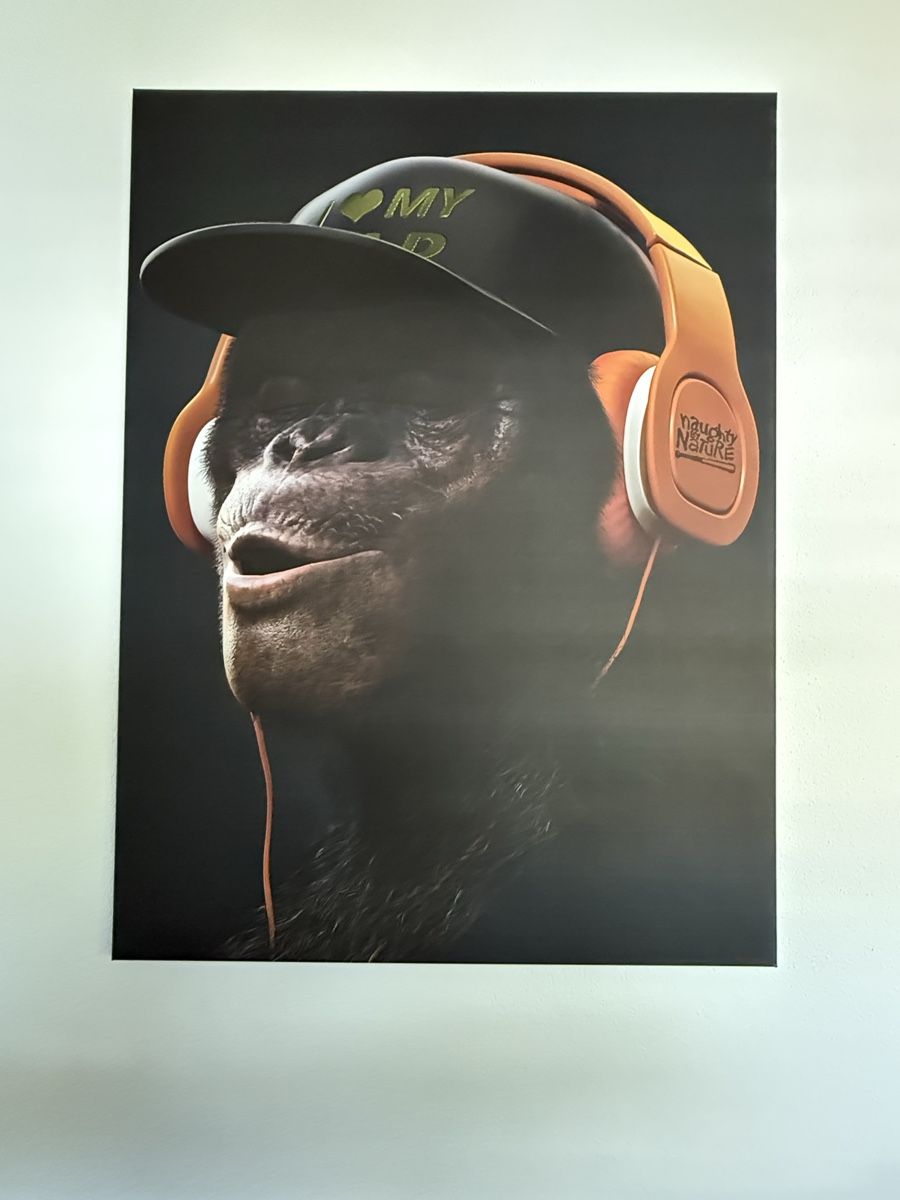 Poster & Bilder: Bild Affe mit Kopfhörer – Neu (gemäss Beschreibung) aus Hergiswil NW von allmendkoenig