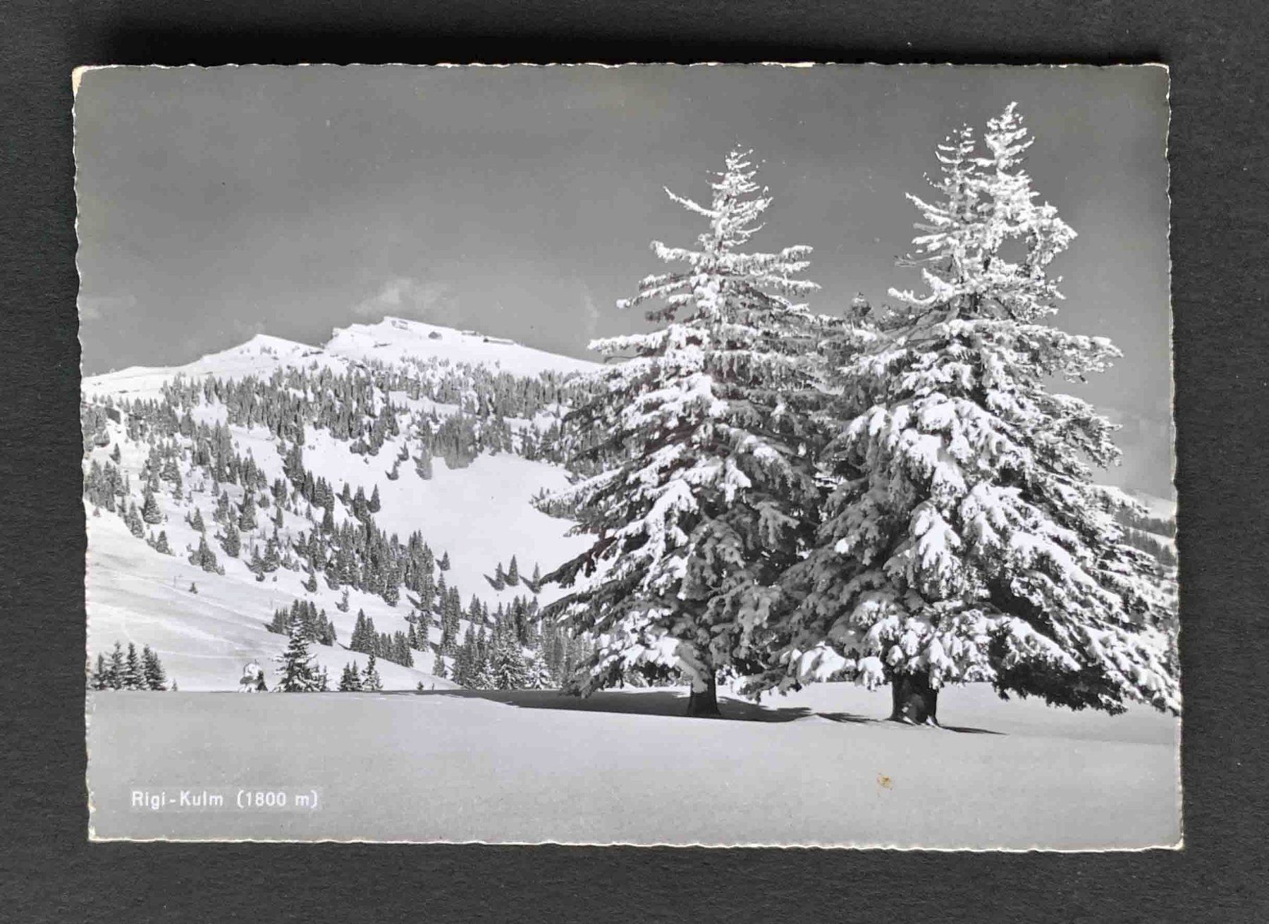 Cartoline postali: AK Rigi Kulm – Usato da Goldau venduto da artelier1