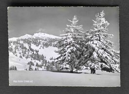 AK Rigi Kulm