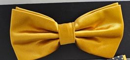 Fliege gold neu u originalverpackt