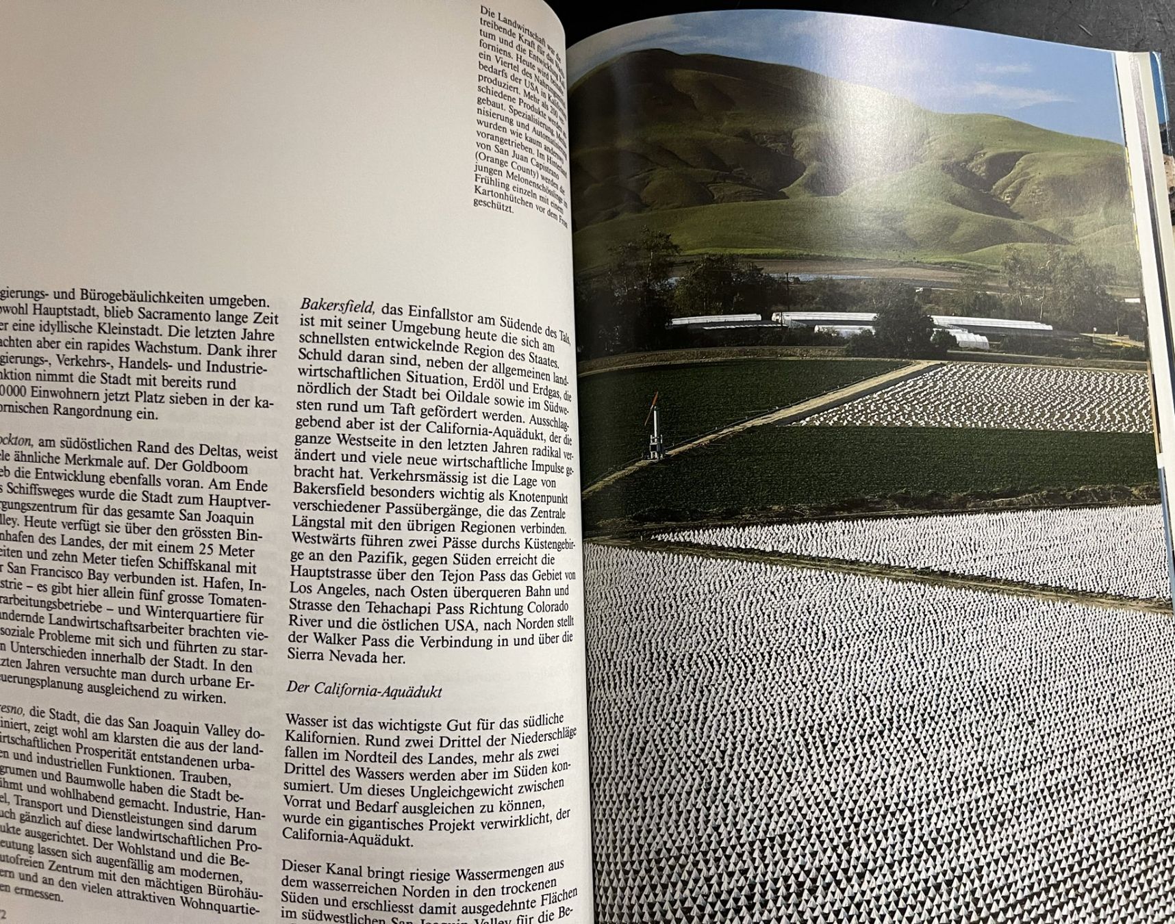 Libri: Silva Verlag, Kalifornien, 1988 – Usato da Oftringen venduto da Vucki 6