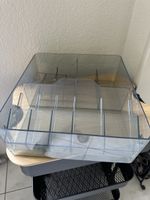 Clear IKEA Desk Organizer Tray - Spring Office Declutter!