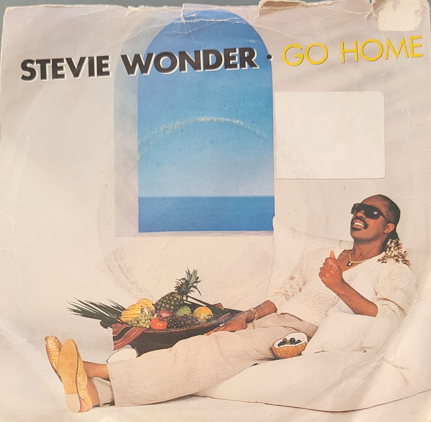 Dischi in vinile: Vinyl-Single Stevie Wonder - Go Home – Usato da Langenthal venduto da Modo39
