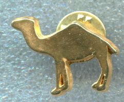CAMEL  