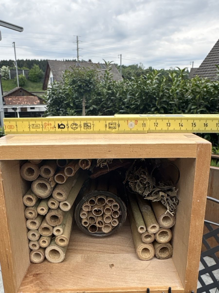 Alveari: Insektenhotel XXL – Nuovo (secondo la descrizione) da Knonau venduto da Kaktus122 2