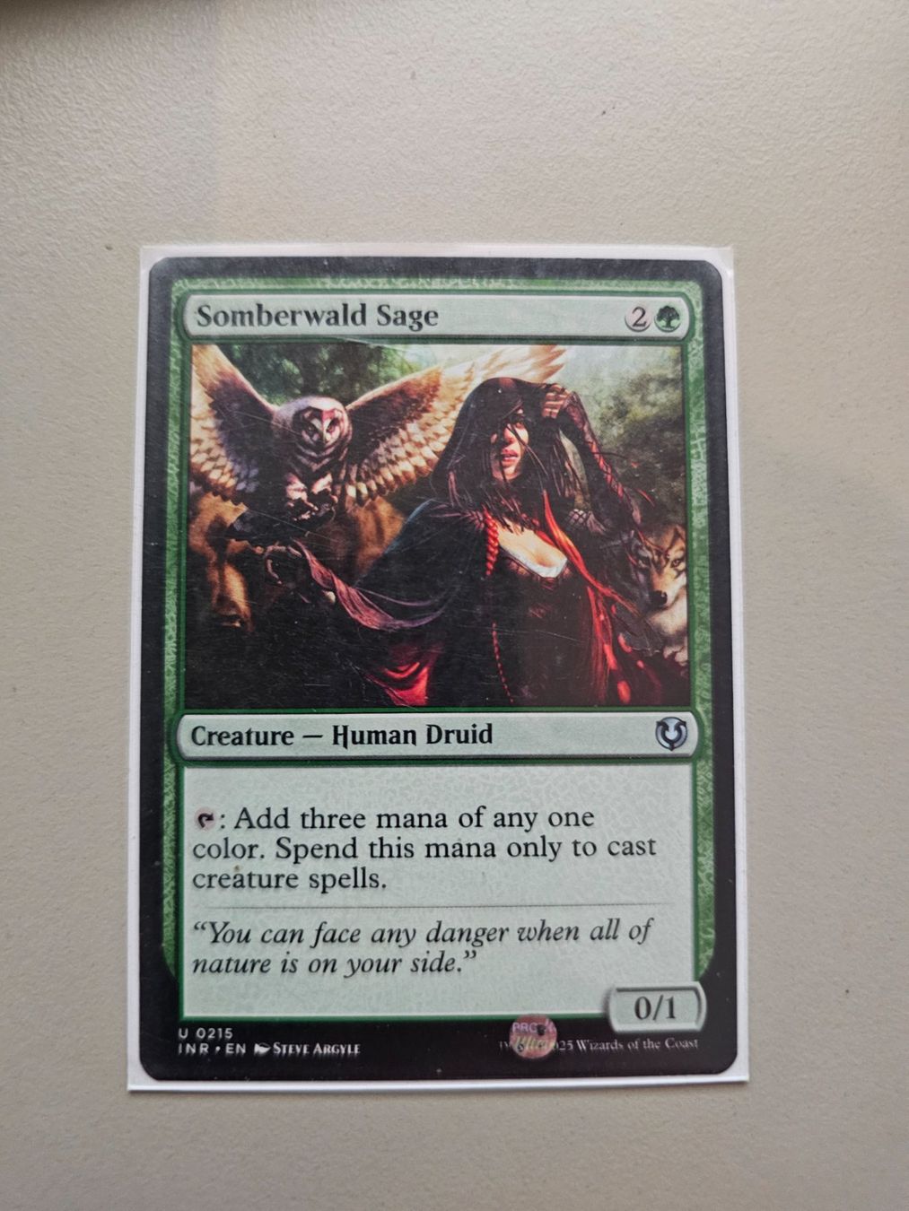 Magic The Gathering Carte collezionabili: Magic the Gathering: Somberwald Sage – Nuovo (secondo la descrizione) da Läufelfingen venduto da struuub92