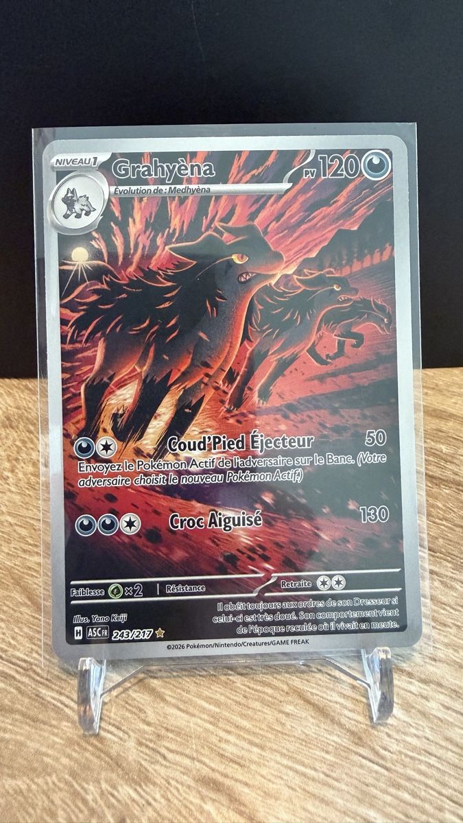 Pokémon Carte collezionabili: Grahyèna 243/217 – Nuovo (secondo la descrizione) da Boudry venduto da Poketo17