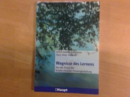 Buch: Wagnisse des Lernens