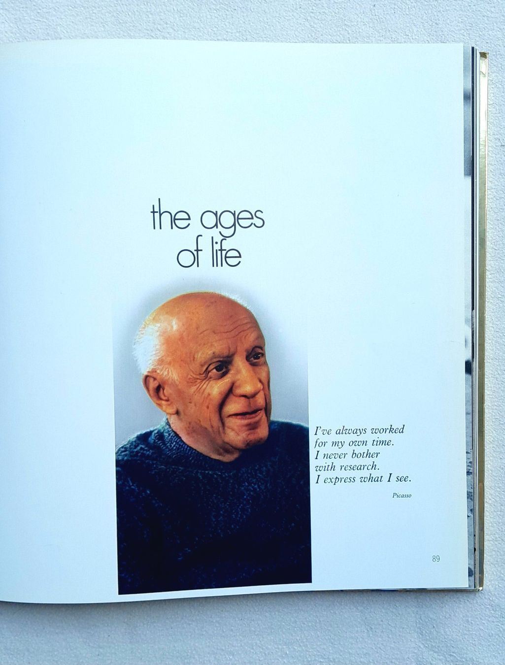 Libri: Picasso 'Felicie' – Usato da Samstagern venduto da Karibik64 2