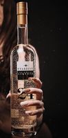 Stardust 24 Karat Gold Likör, Wodka Ananas Kokos 70cl