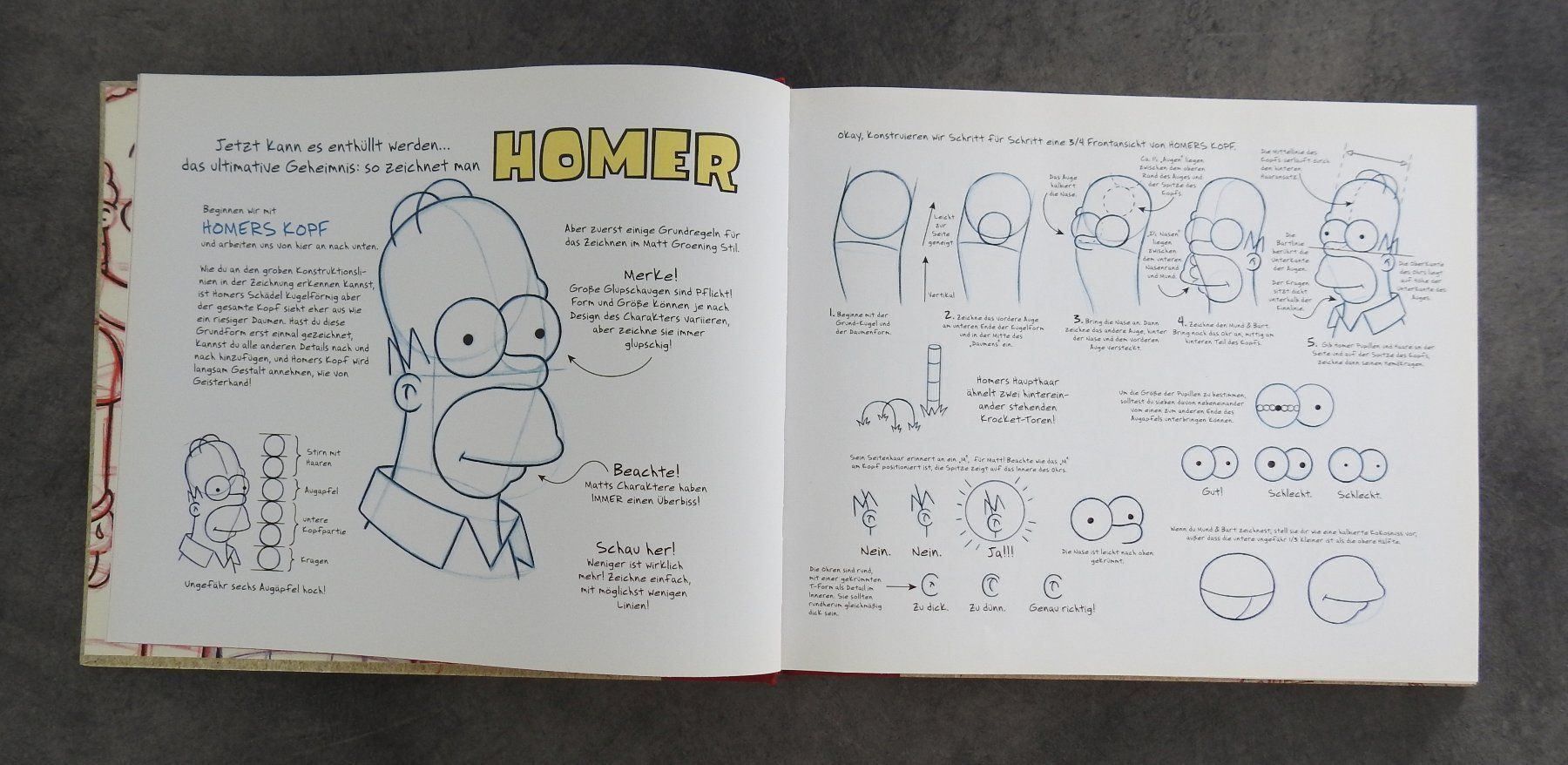 Libri: The Simpsons Handbuch - NEU – Nuovo e nell'imballaggio originale da Zürich venduto da Piki7 3