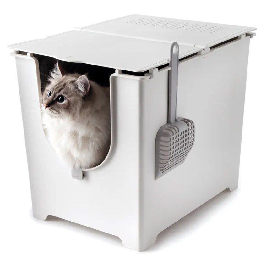 WC: Katzentoilette Flip hoch – Usato da Hausen am Albis venduto da Anmo74