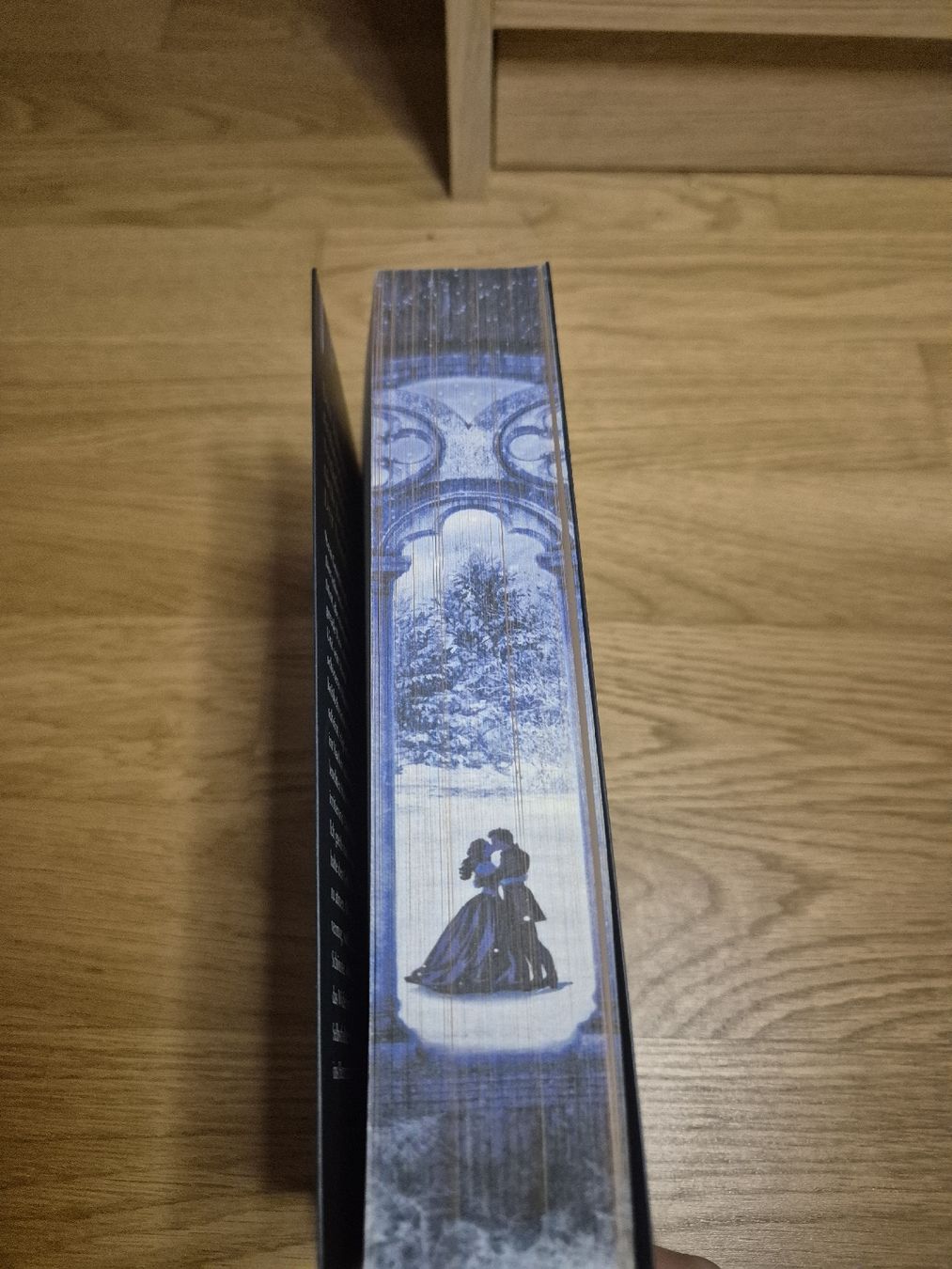 Libri: Alexandria Warwick: The North Wind - Reich aus Eis – Usato da Liestal venduto da badersar 2