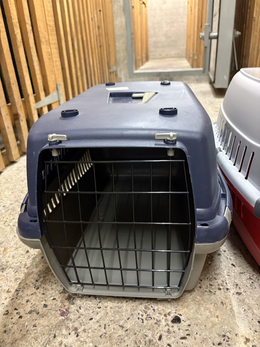 Gabbie, trasporto & Sicurezza: Gebrauchte Transportboxen für Hunde oder Katzen, 2 Stk. – Usato da Burgdorf venduto da Eramon 1