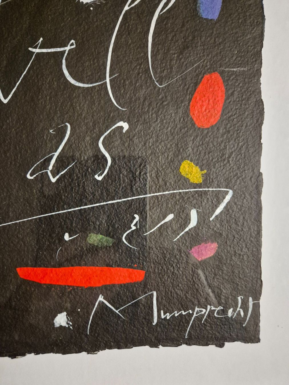 Foto & Immagini: Rudolf Mumprecht, Original,signiert – Usato da Schlosswil venduto da donmarcos62 1