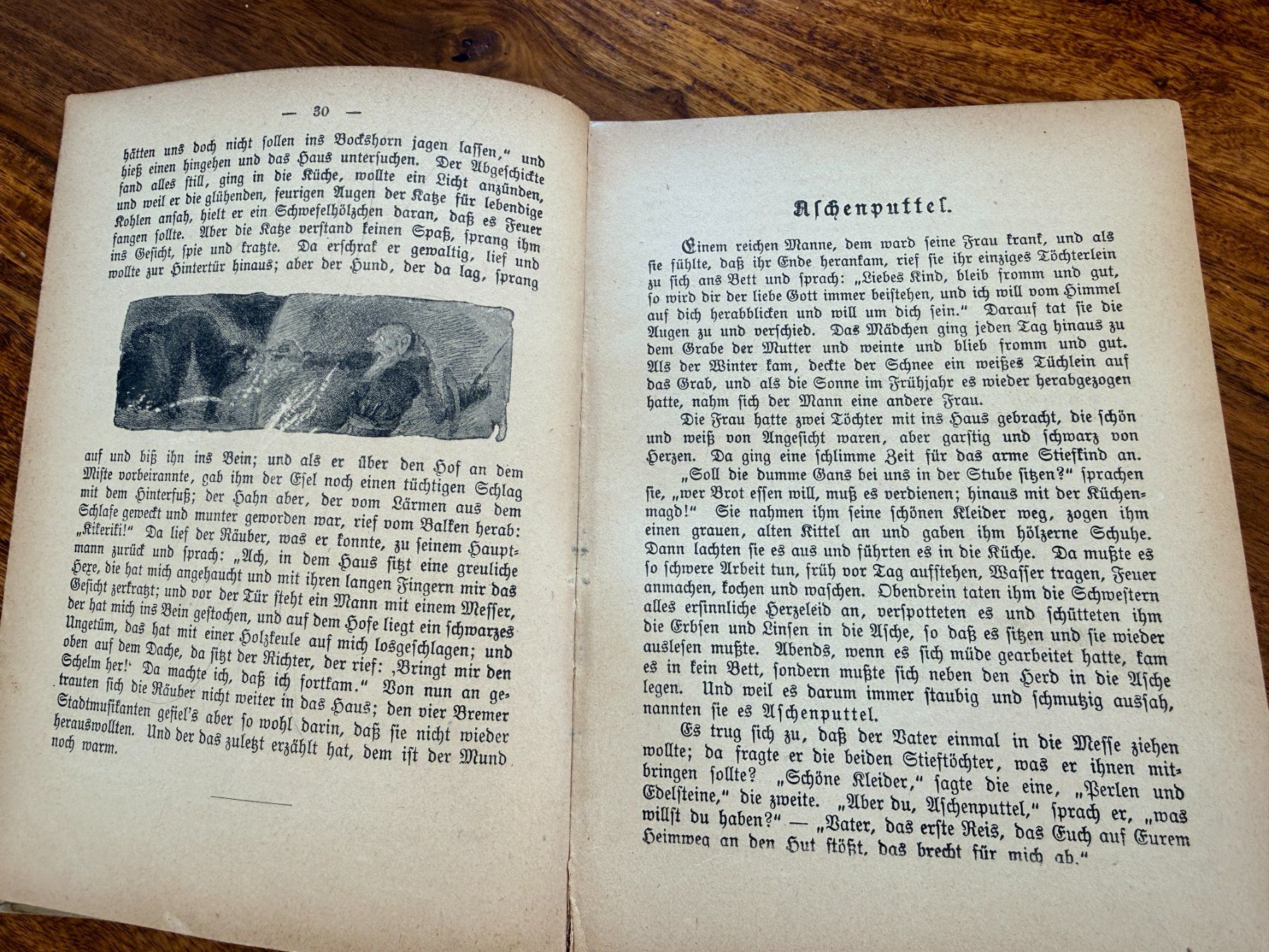 Bücher: Antikes Buch: Grimms Märchen von 1921 illustriert – Gebraucht aus Neerach von topshotta 2