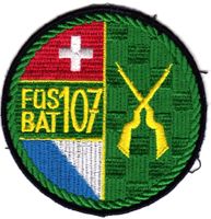 Schweizer Militär; Badge / Füs Bat 107