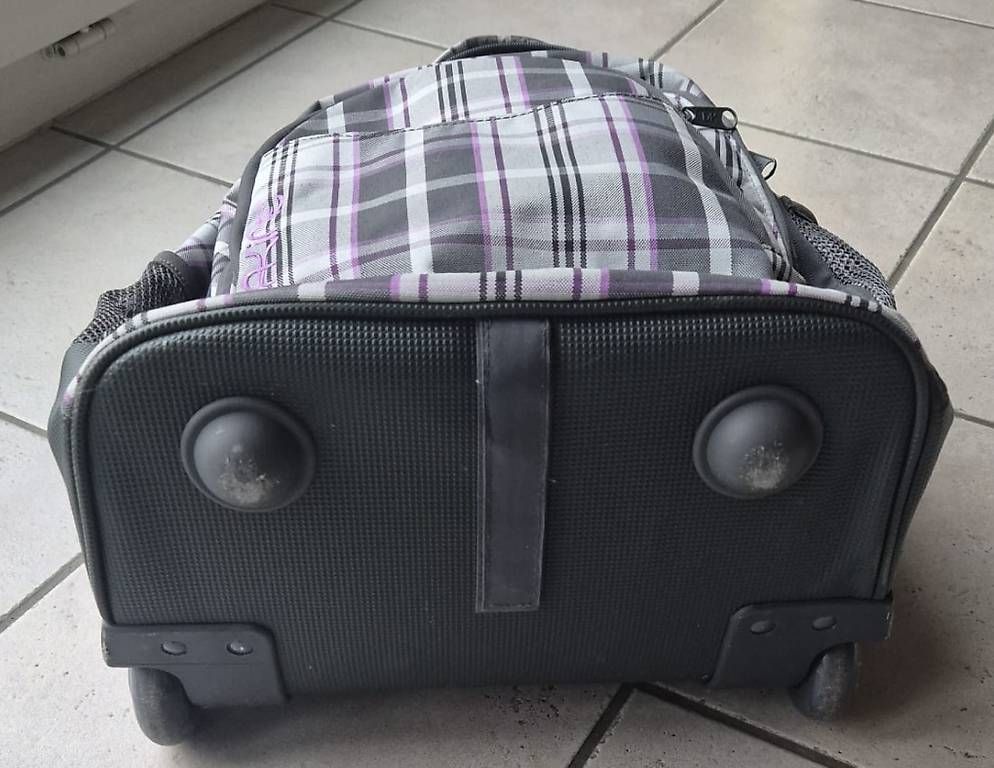 Zaini: Dakine Trolley und Rucksack – Usato da Greifensee venduto da mgr_z62x 2