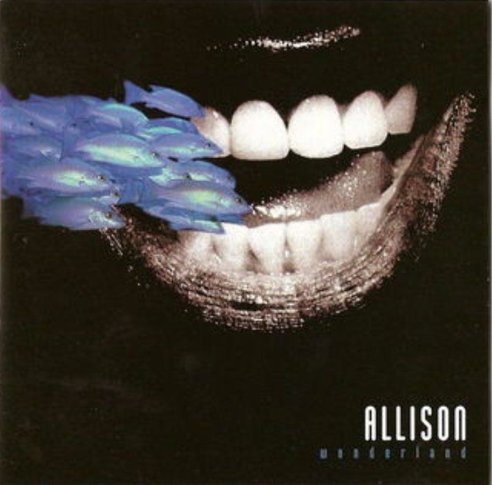CD: Allison - Wonderland – Usato da Brunnen venduto da Barfly5