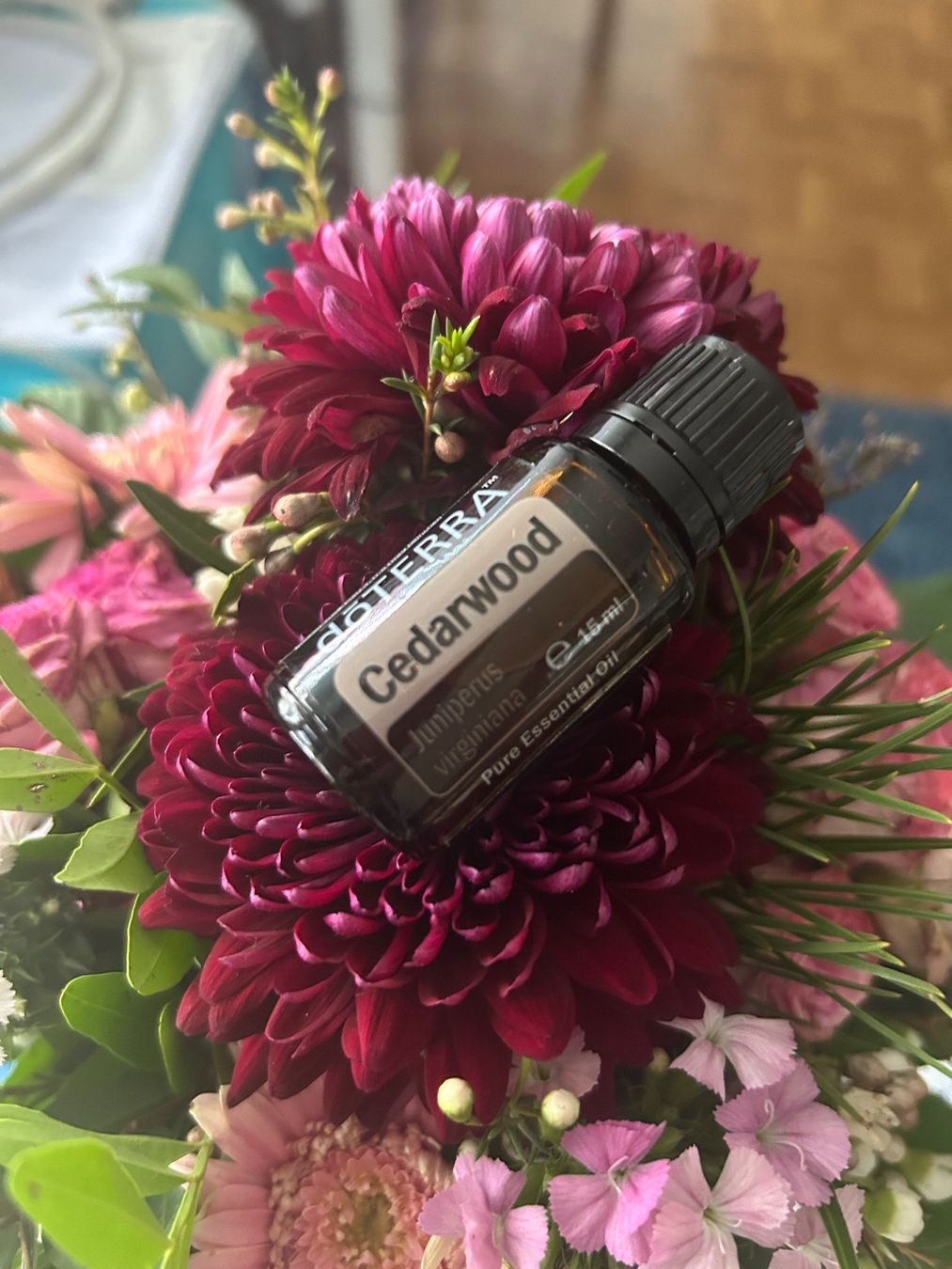 Doterra Oli essenziali: DoTerra Cedarwood OVP ätherisches Öl – Nuovo e nell'imballaggio originale da Allschwil venduto da meeresperle