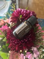 DoTerra Cedarwood OVP ätherisches Öl