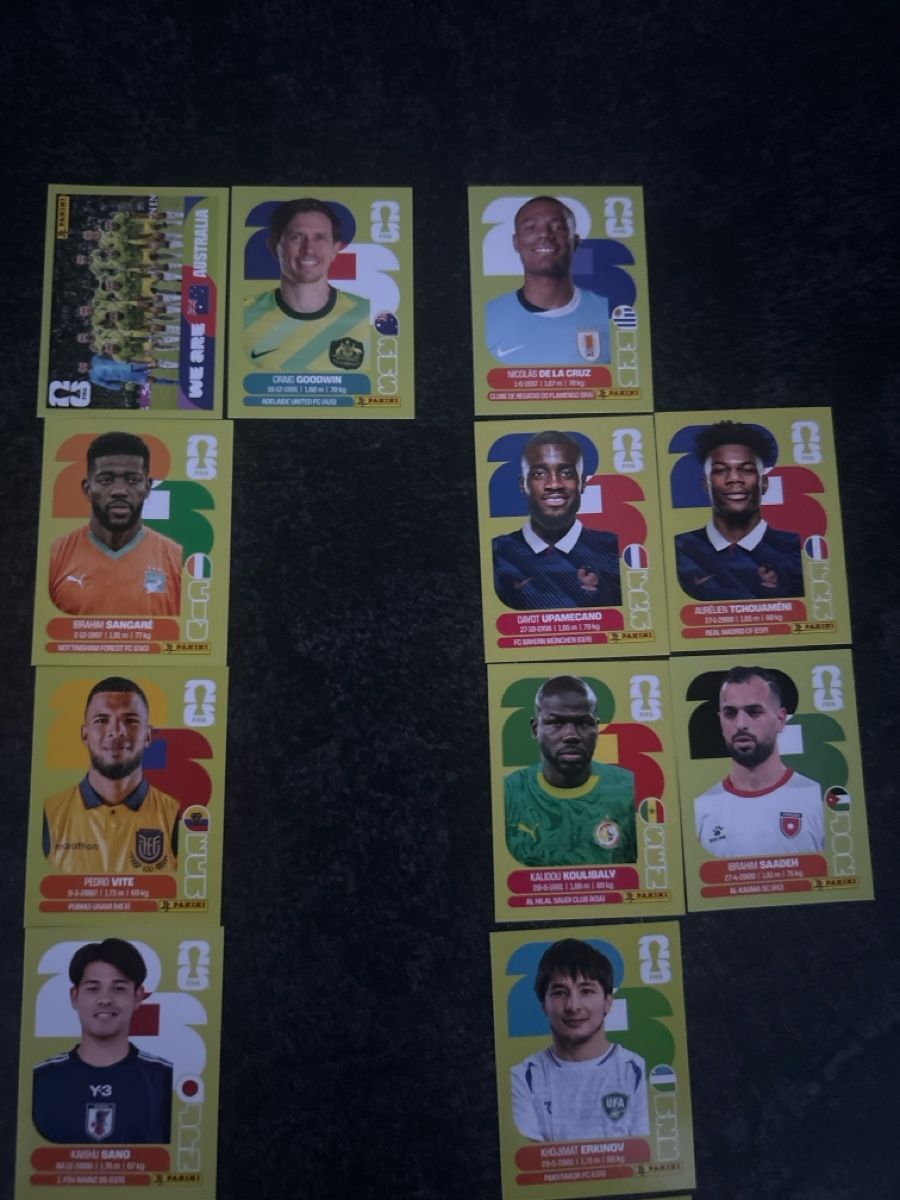 Panini Carte collezionabili: Einige Panini Bilder  – Nuovo (secondo la descrizione) da Wangen SZ venduto da Mauzdibauz 3