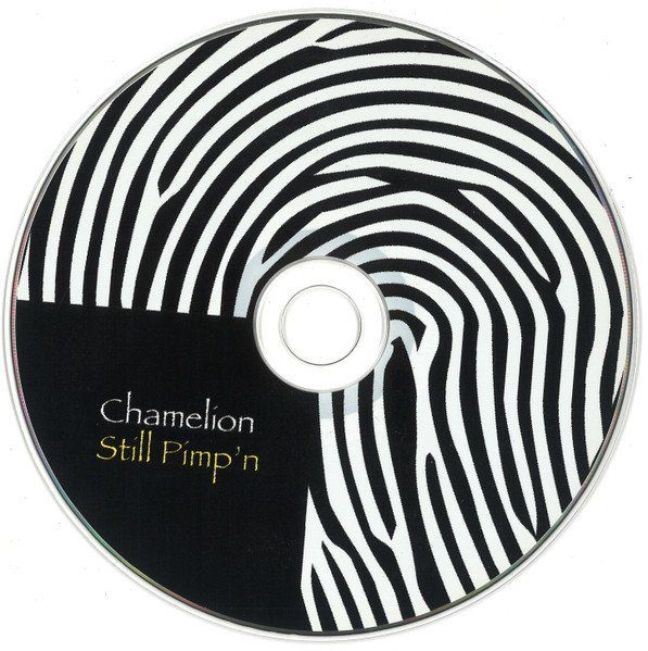 CD: CD Chamelion 2002 – Usato da Emmenbrücke venduto da inf_9dkq 2