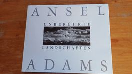 Ansel Adams: Unberührte Landschaften