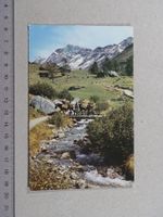 Lötschental, Weg zur Fafleralp, 1970, Poststempel Blatten