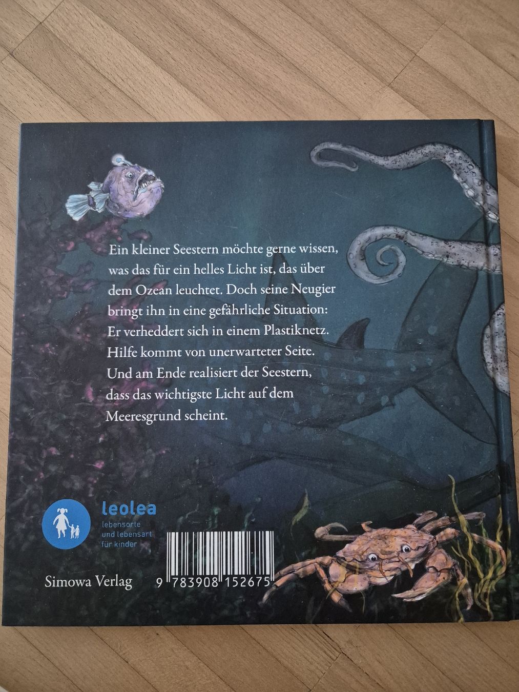 Libri: Kinderbuch am Ende des Ozeans brennt ein Licht – Usato da Bern venduto da grisu_79 1