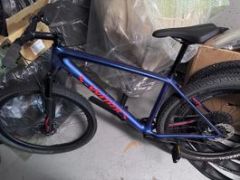 Specialized Epic