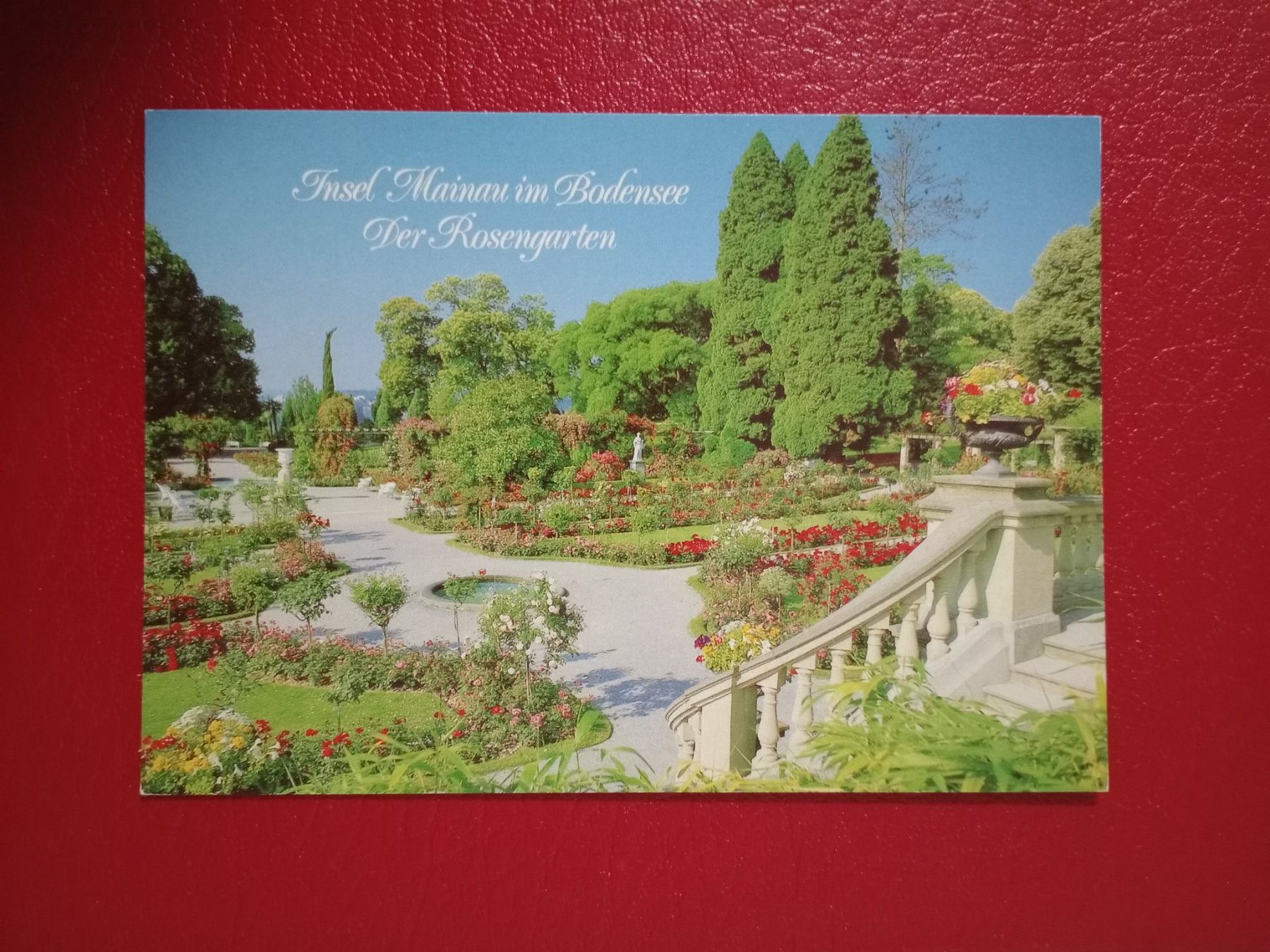 Ansichtskarten: Insel Mainau Bodensee Rosengarten – Gebraucht aus Küttigen von Melisch1000