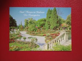 Insel Mainau Bodensee Rosengarten