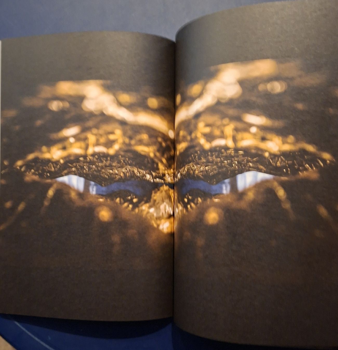 Libri: Opernhaus Paris Programm Body and Soul Crystal Pite Ballet – Nuovo (secondo la descrizione) da Niederglatt ZH venduto da Siegfried67 5